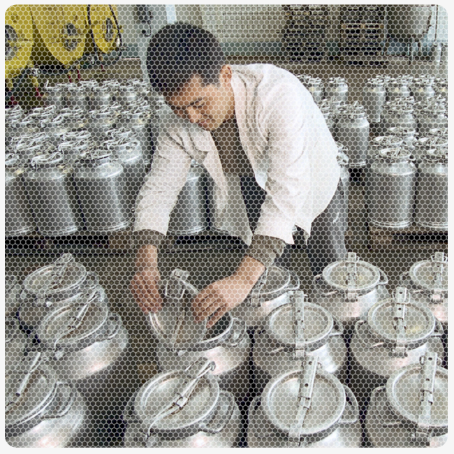 20 Jahre Ostzusammenarbeit