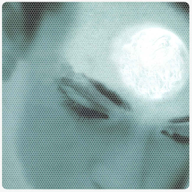 Buch Allianzen und Aufbruch